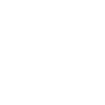 wheelchair icon